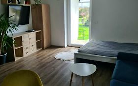 Rooms And Apartments Vili